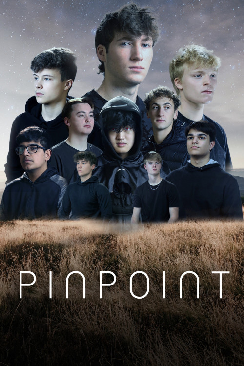 Pinpoint (2022) poster