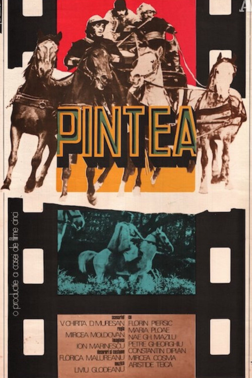 Pintea (1976) poster