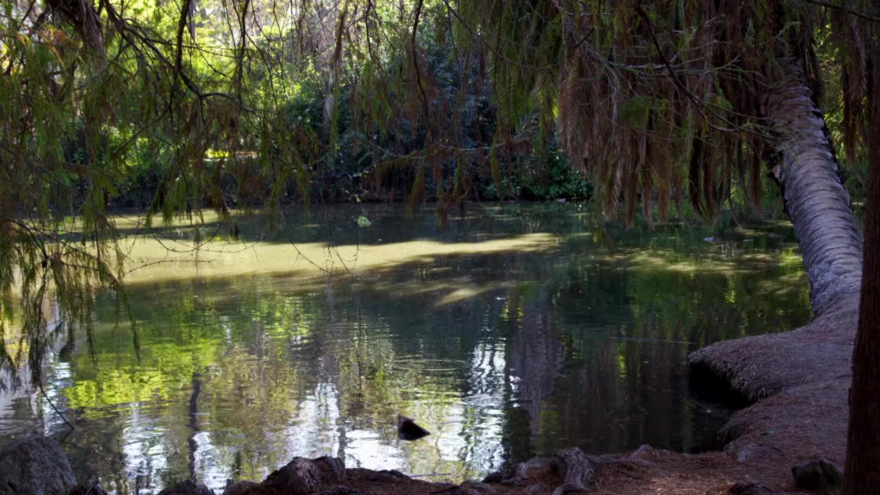 Piranhaconda screenshot 1