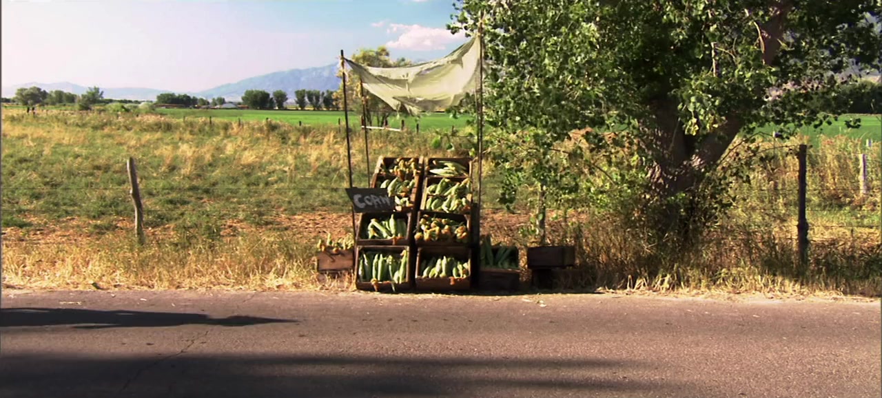 Pirates of the Great Salt Lake screenshot 1