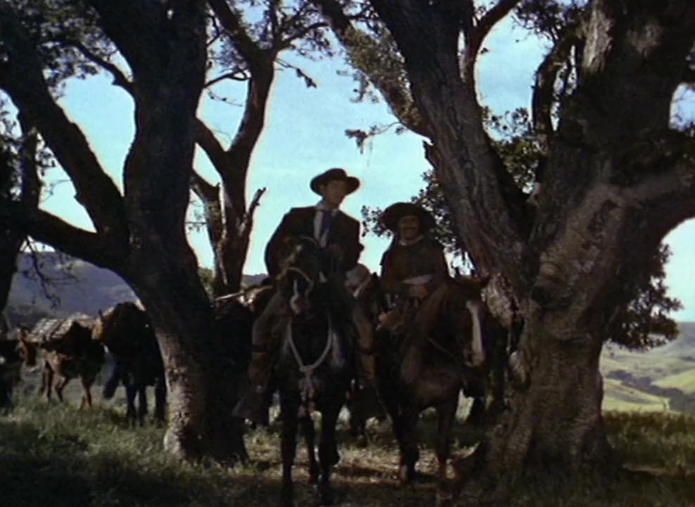 Pirates of Monterey screenshot 3