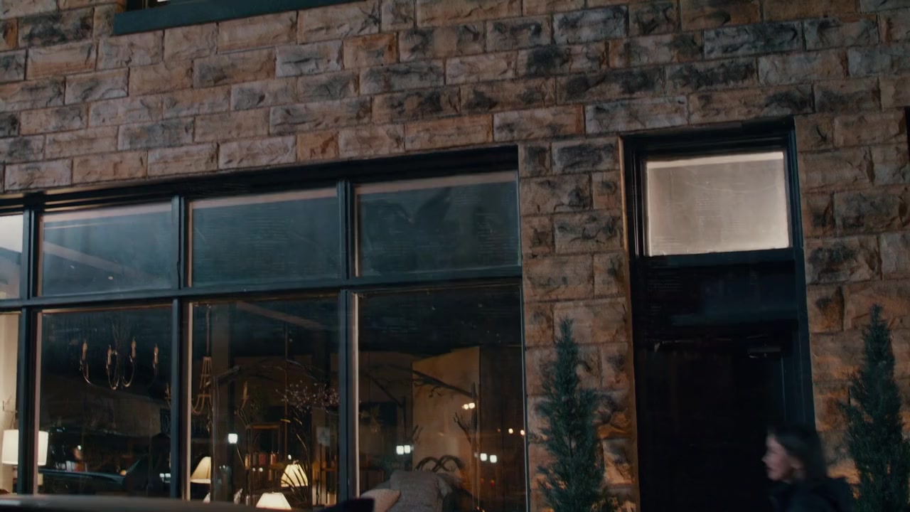 Plus One at an Amish Wedding screenshot 3