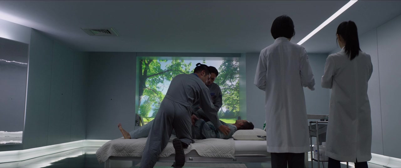 Plurality screenshot 2