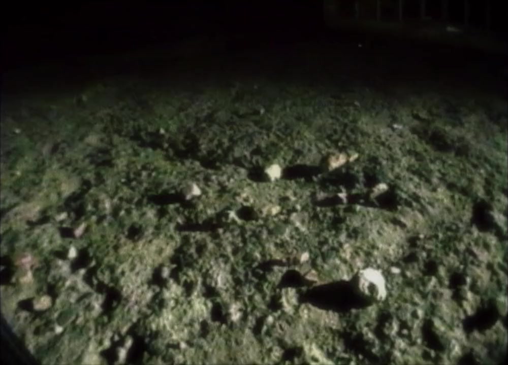 Plaga zombie screenshot 2