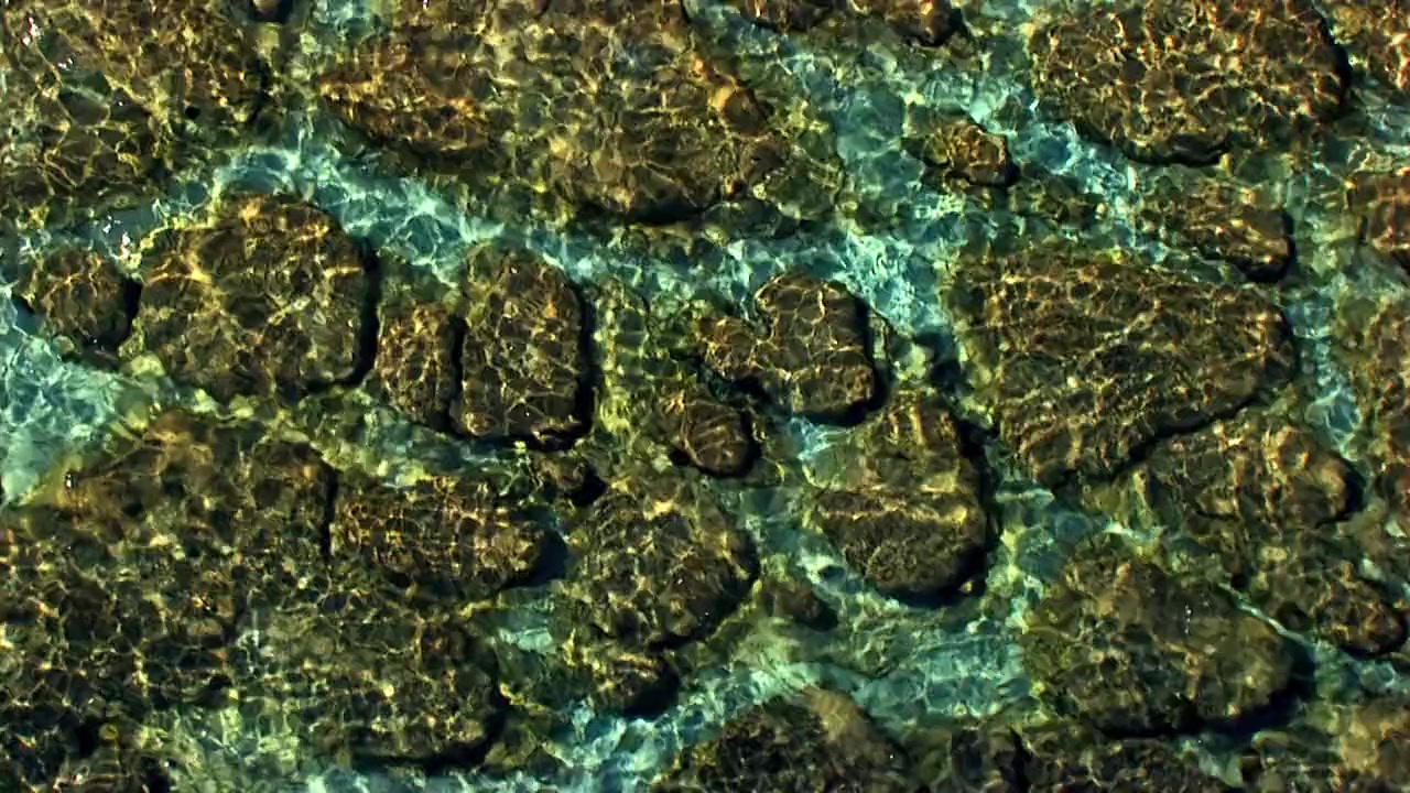 Planet Ocean screenshot 2