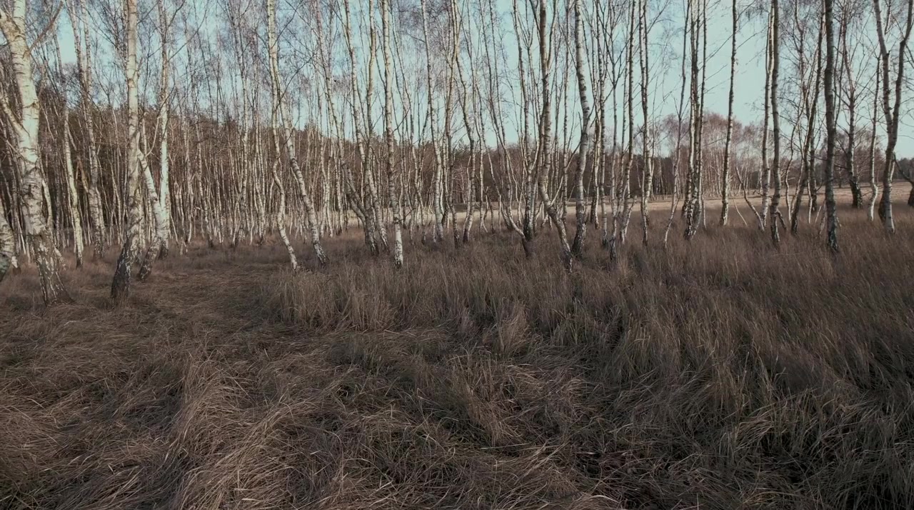 Planet Zee screenshot 1