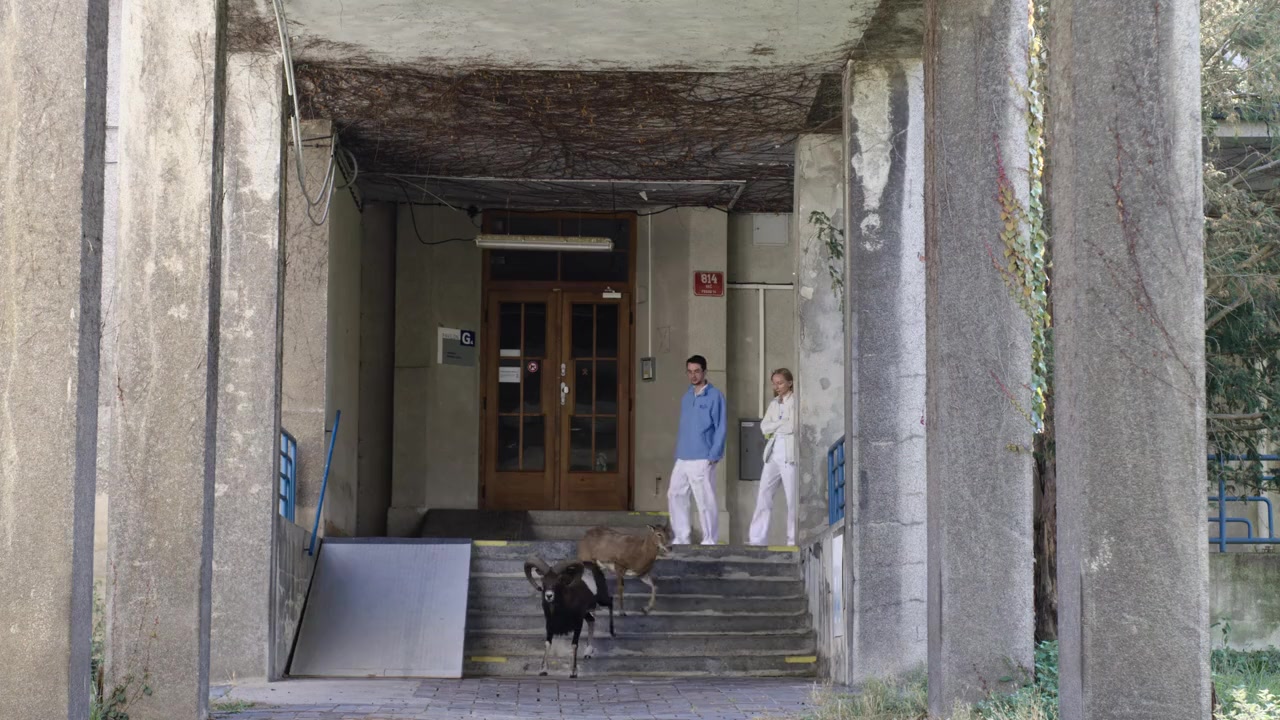 Planeta Praha screenshot 2