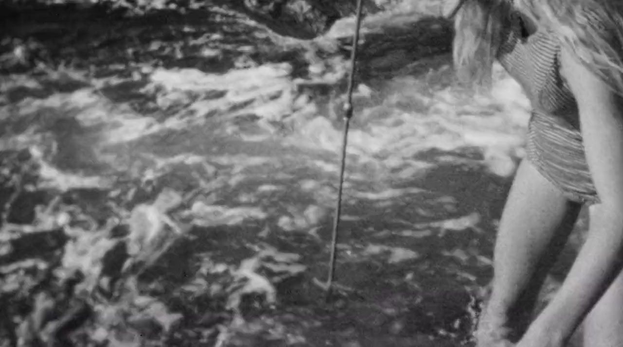 Playing with Sharks: The Valerie Taylor Story screenshot 2