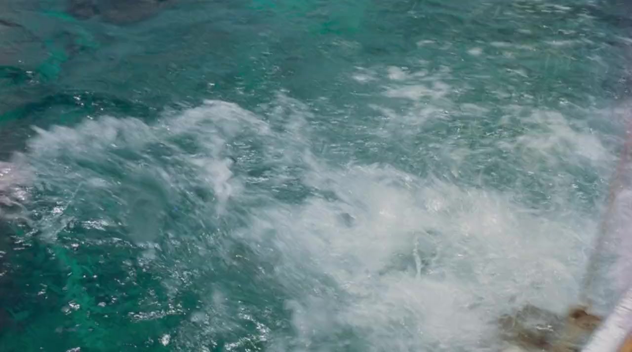 Playing with Sharks: The Valerie Taylor Story screenshot 3
