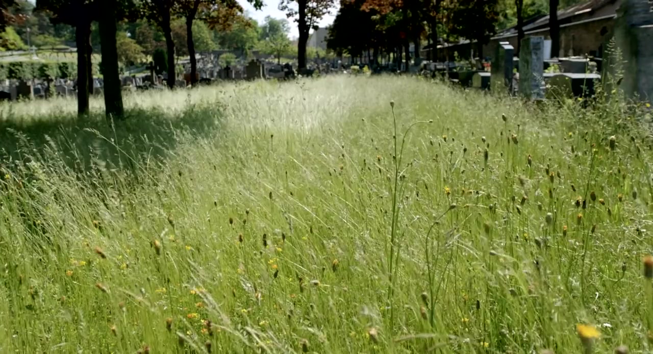 Carré 35 screenshot 1