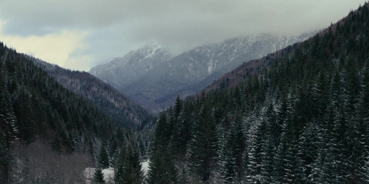 Prancer: A Christmas Tale screenshot 2
