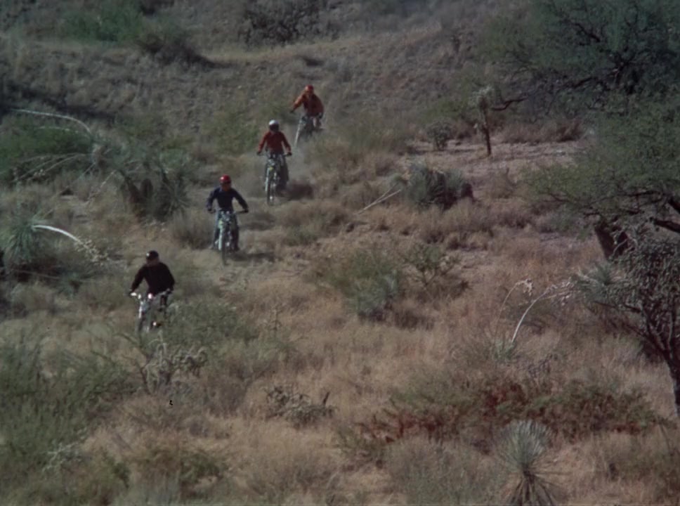 Pray for the Wildcats screenshot 3