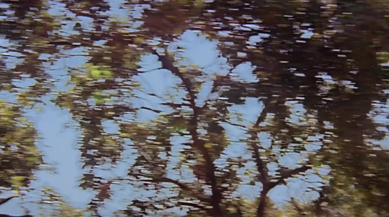 Alaap screenshot 2