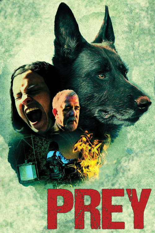 Cordes (2019) poster