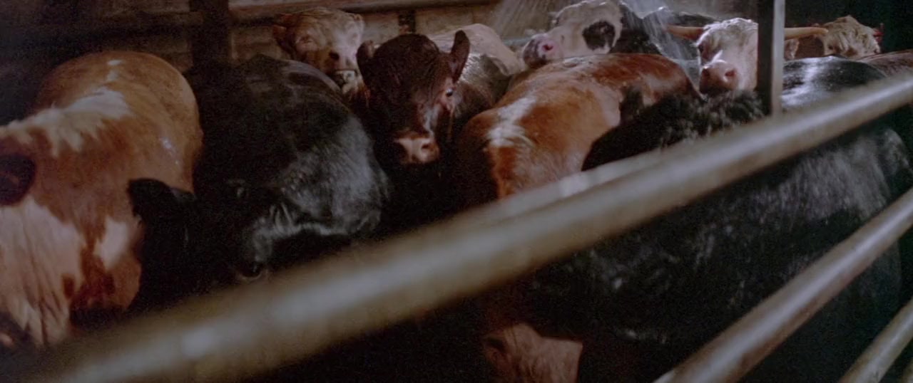 Prime Cut screenshot 3