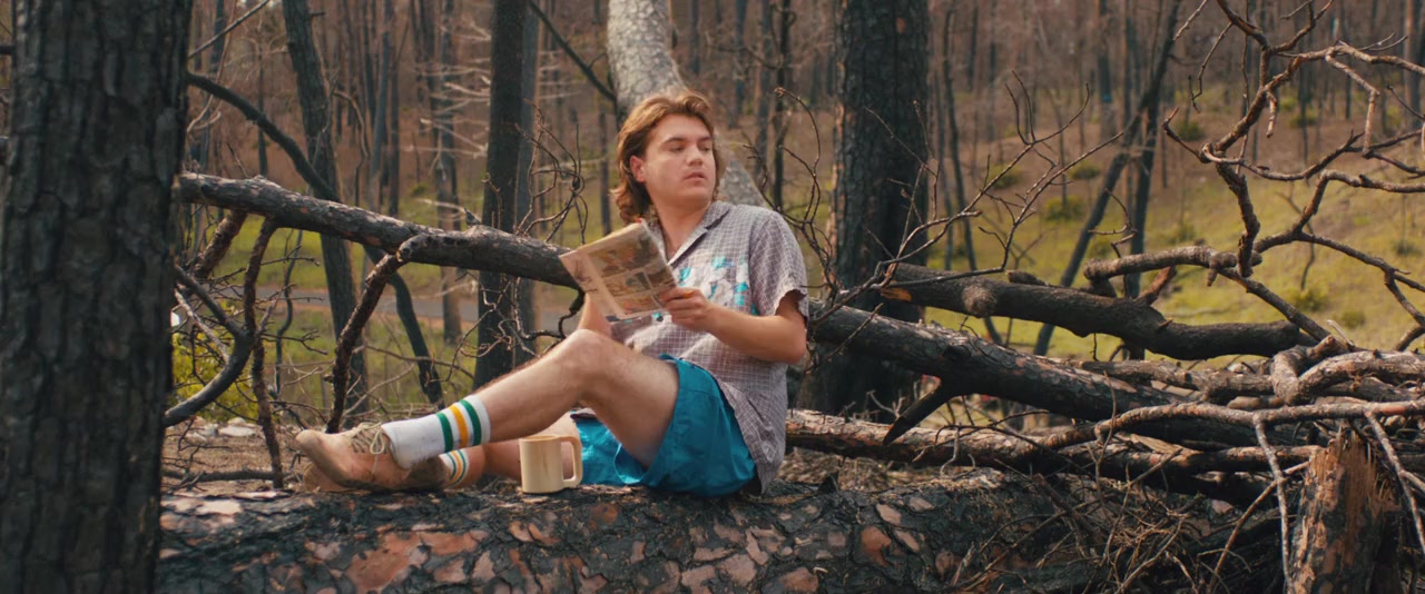 Prince Avalanche screenshot 2