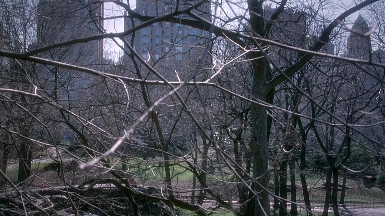 Prince Andrew: Banished screenshot 1