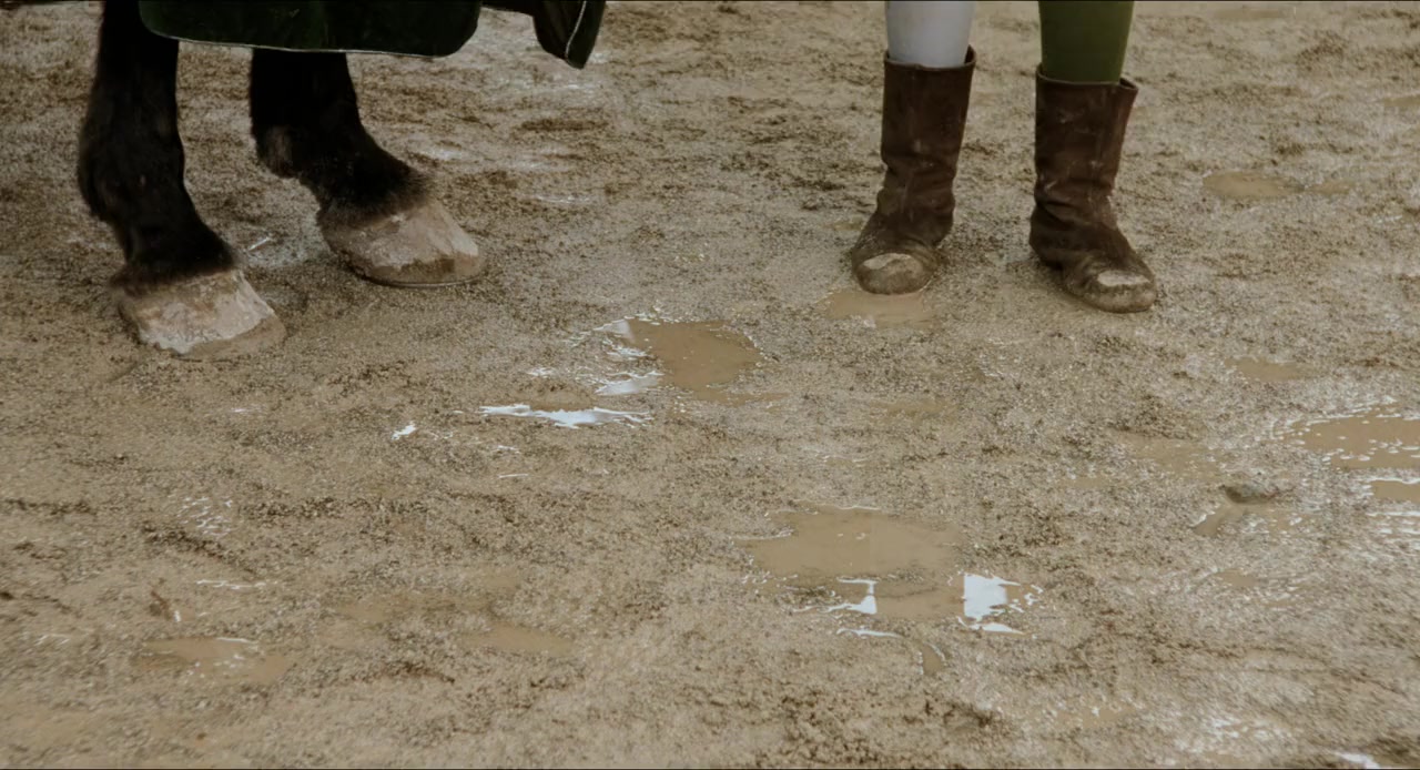 Prince Valiant screenshot 2