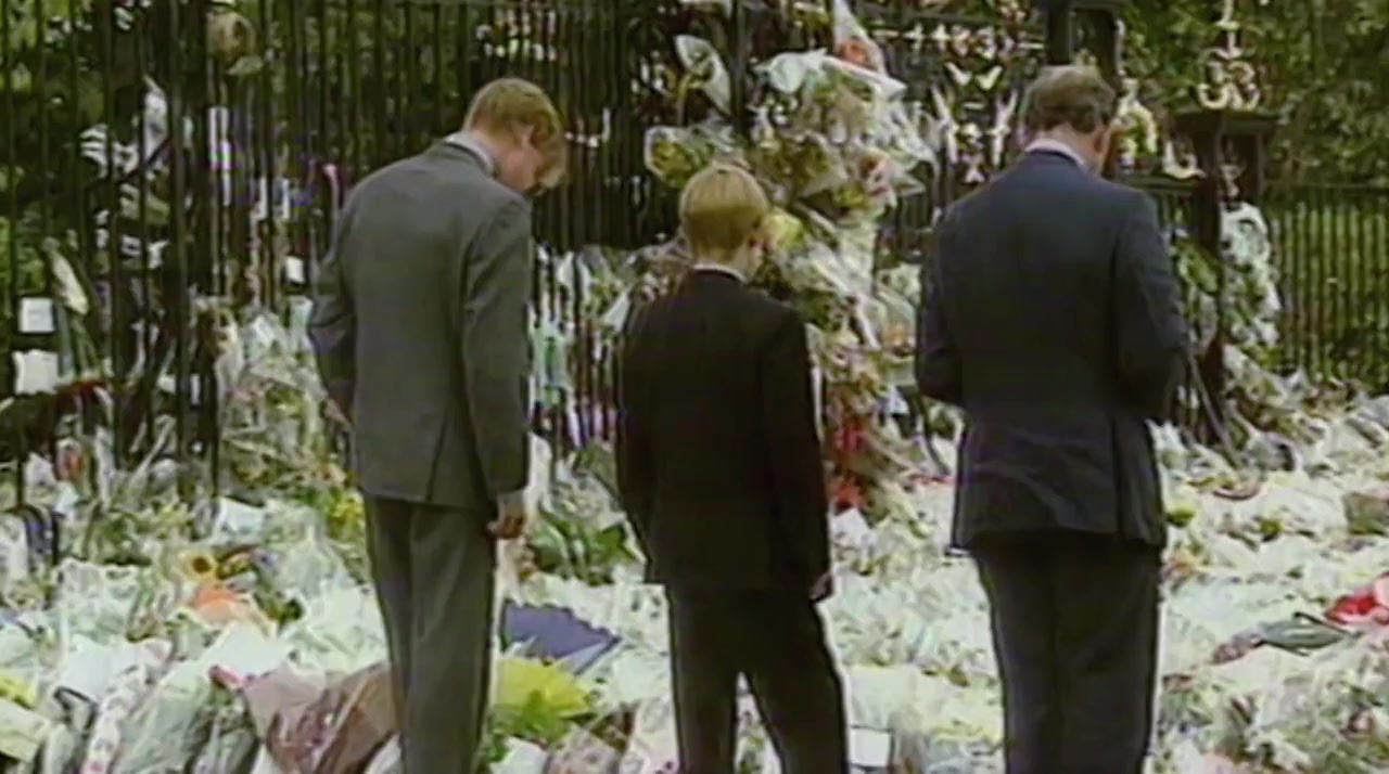 Princess Diana: Tragedy or Treason? screenshot 2