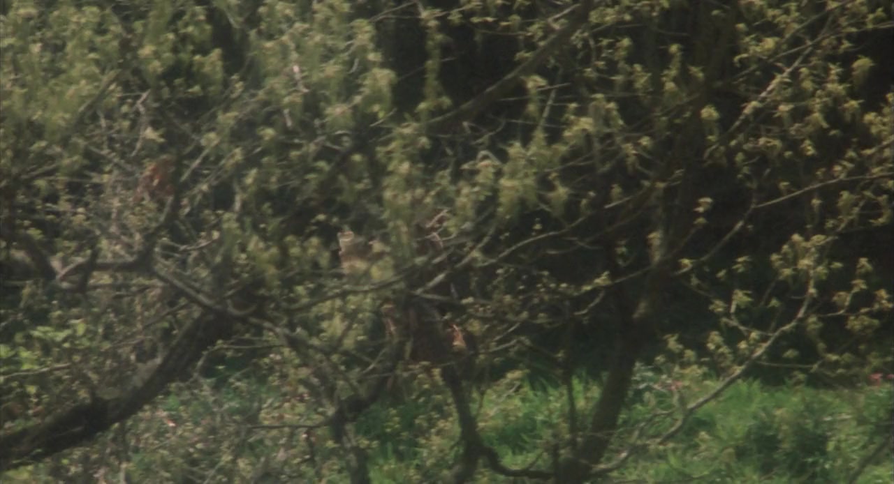 Taketori monogatari screenshot 3
