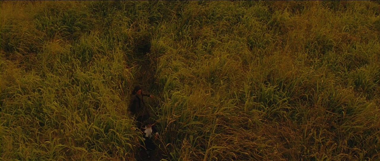 Princess Ka'iulani screenshot 1