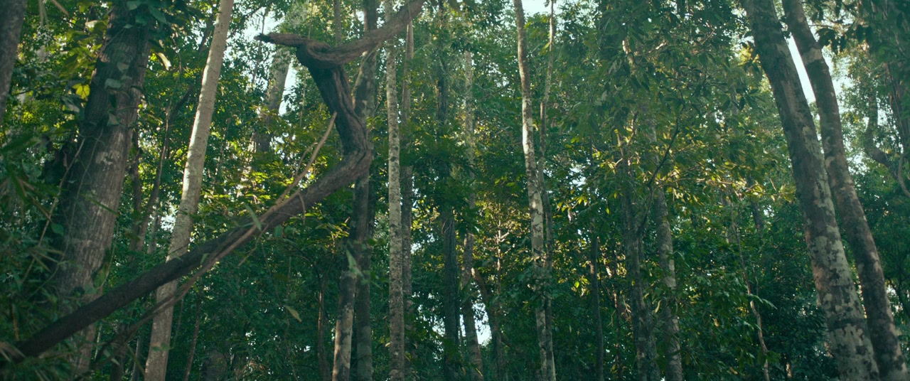Prisoner of War screenshot 1
