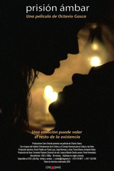 Prisión Ambar (2009) poster