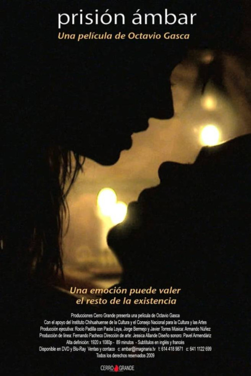 Prisión Ambar (2009) poster