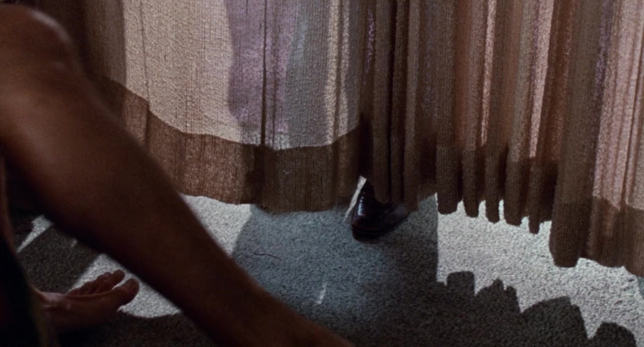 Private Parts screenshot 1