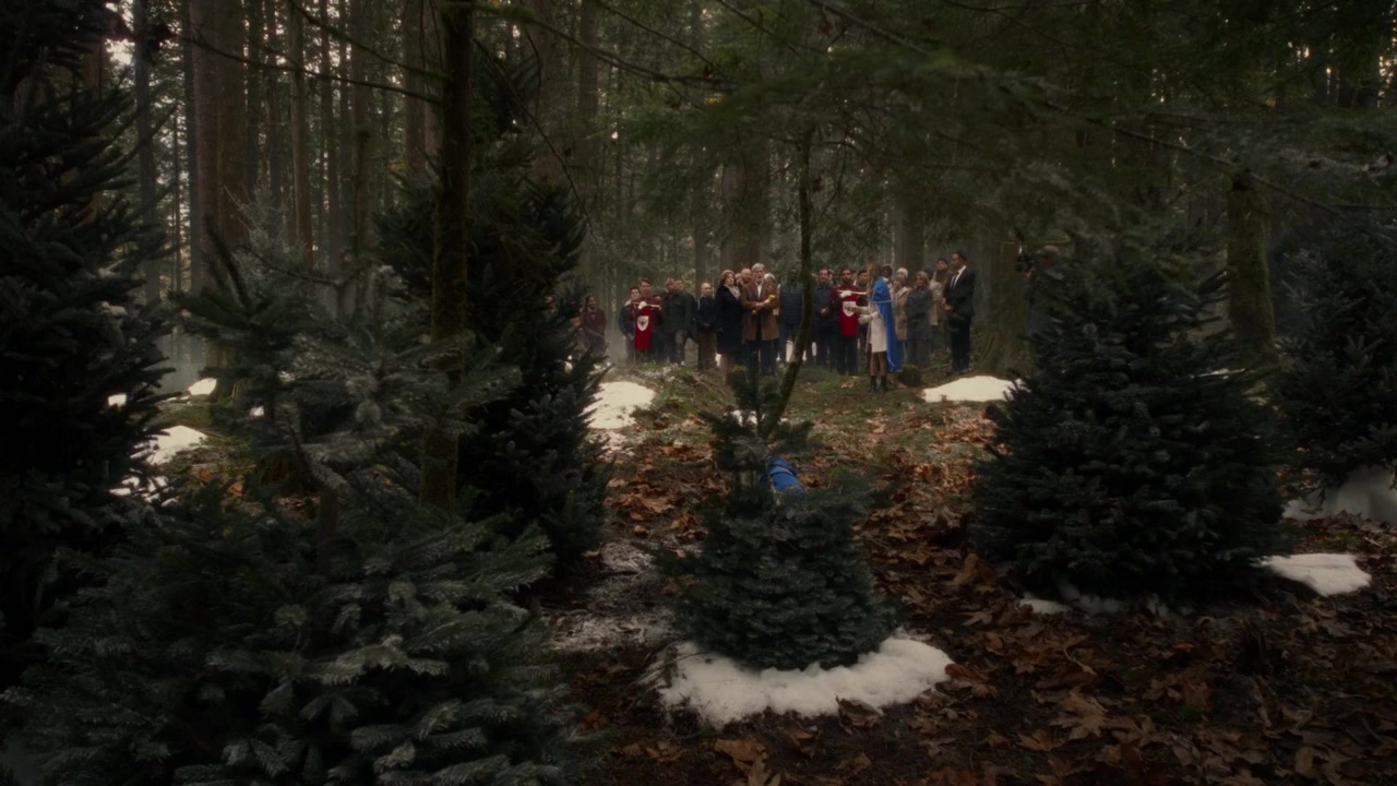 Private Princess Christmas screenshot 2