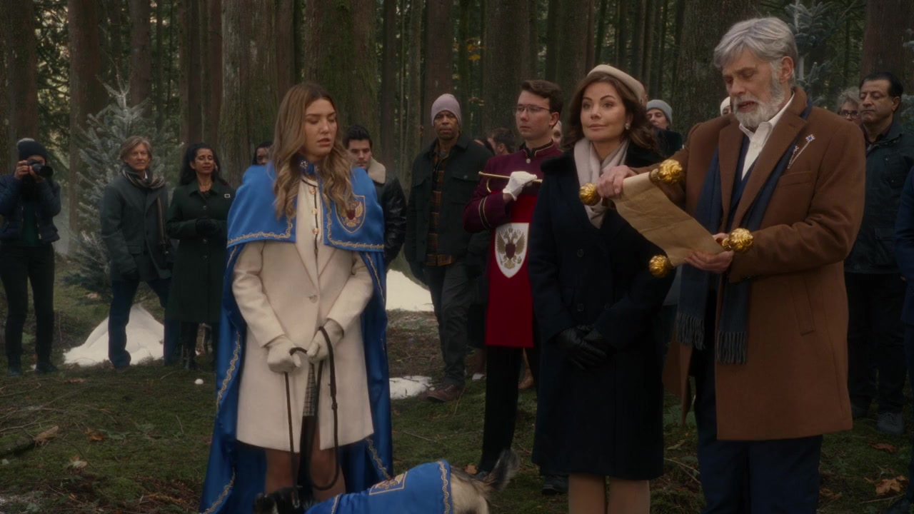 Private Princess Christmas screenshot 3