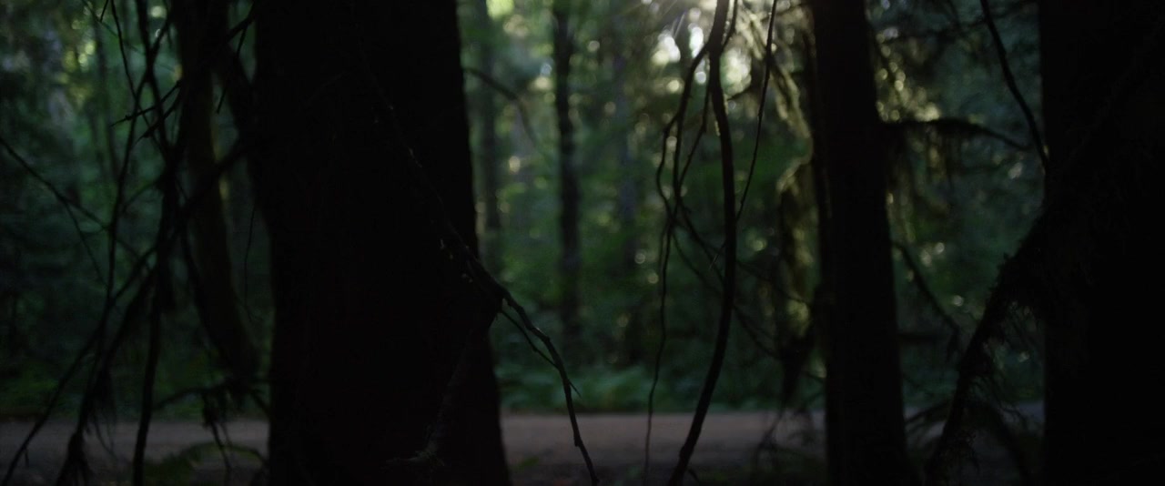 Prodigy screenshot 3