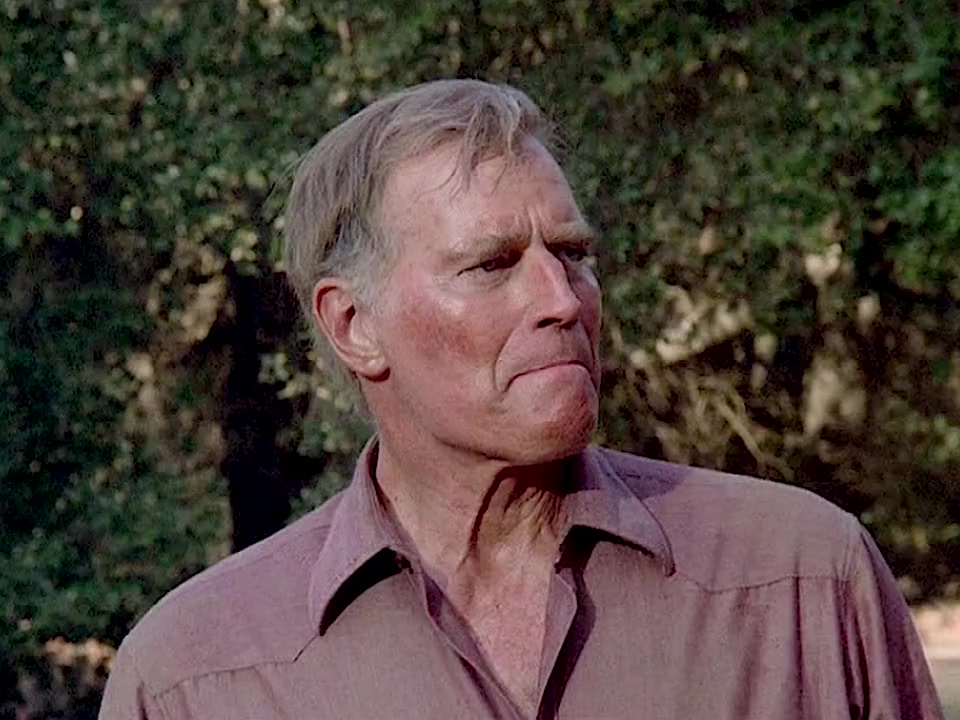 Proud Men screenshot 2