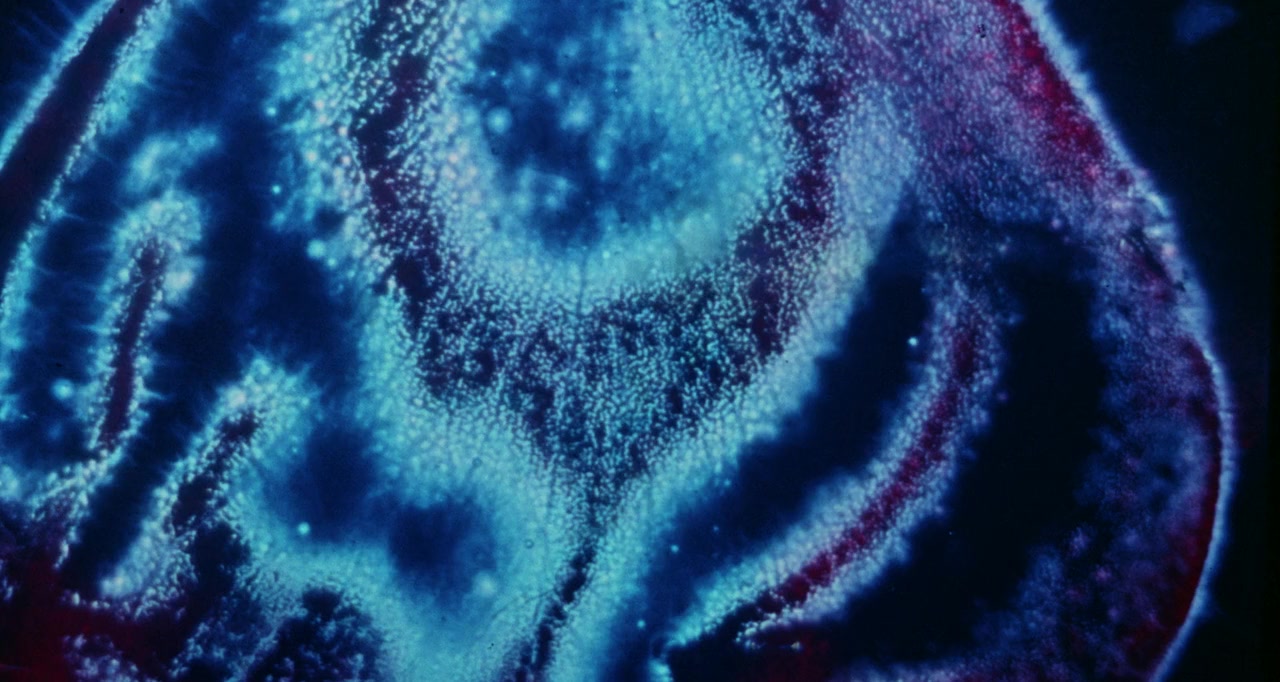 Psychic Killer screenshot 2