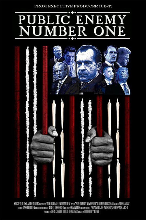 Public Enemy Number One (2019) poster