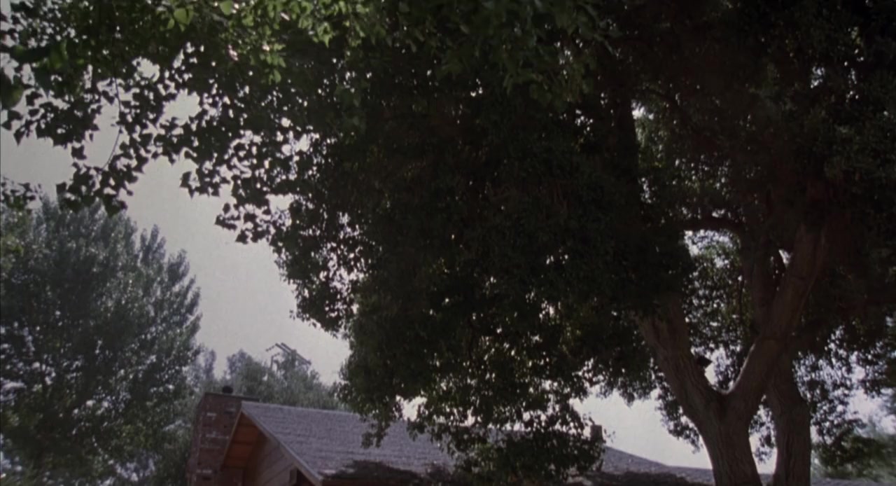 Pumpkinhead II: Blood Wings screenshot 2