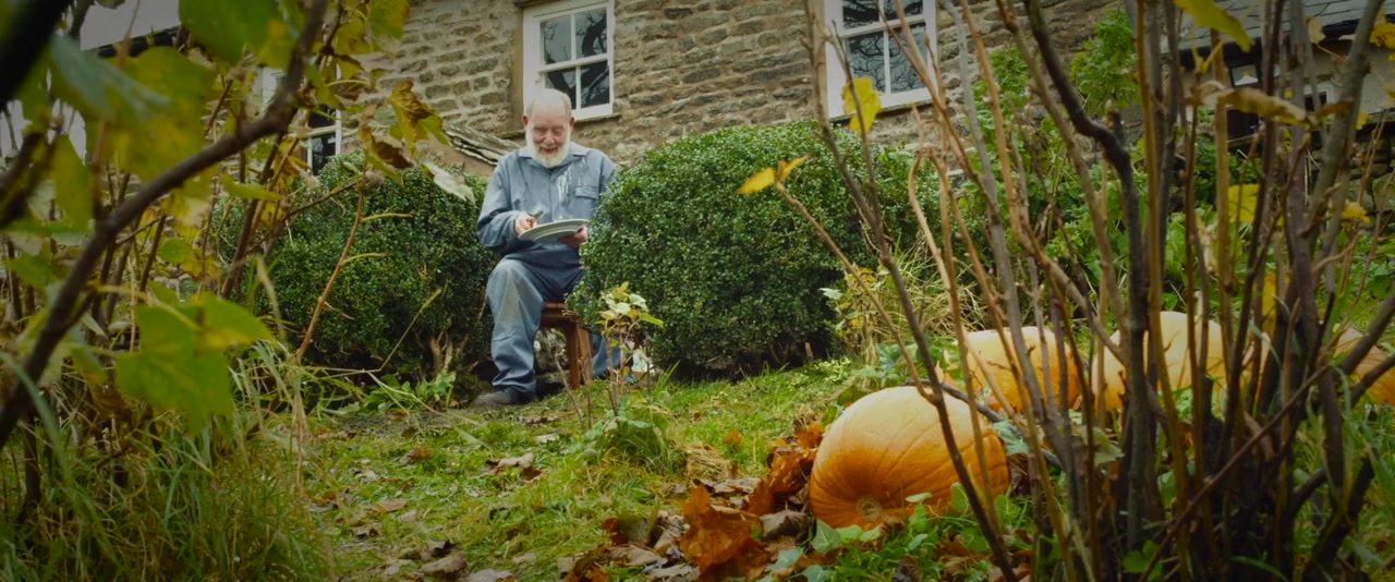 Pumpkins screenshot 1