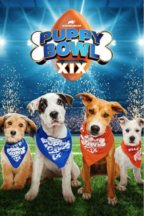 Puppy Bowl XIX (2023) poster