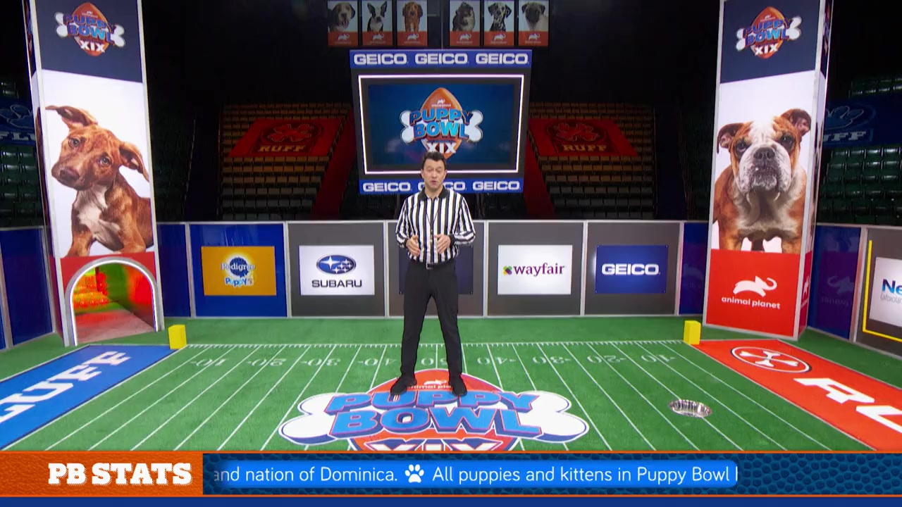 Puppy Bowl XIX Pregame Show screenshot 1