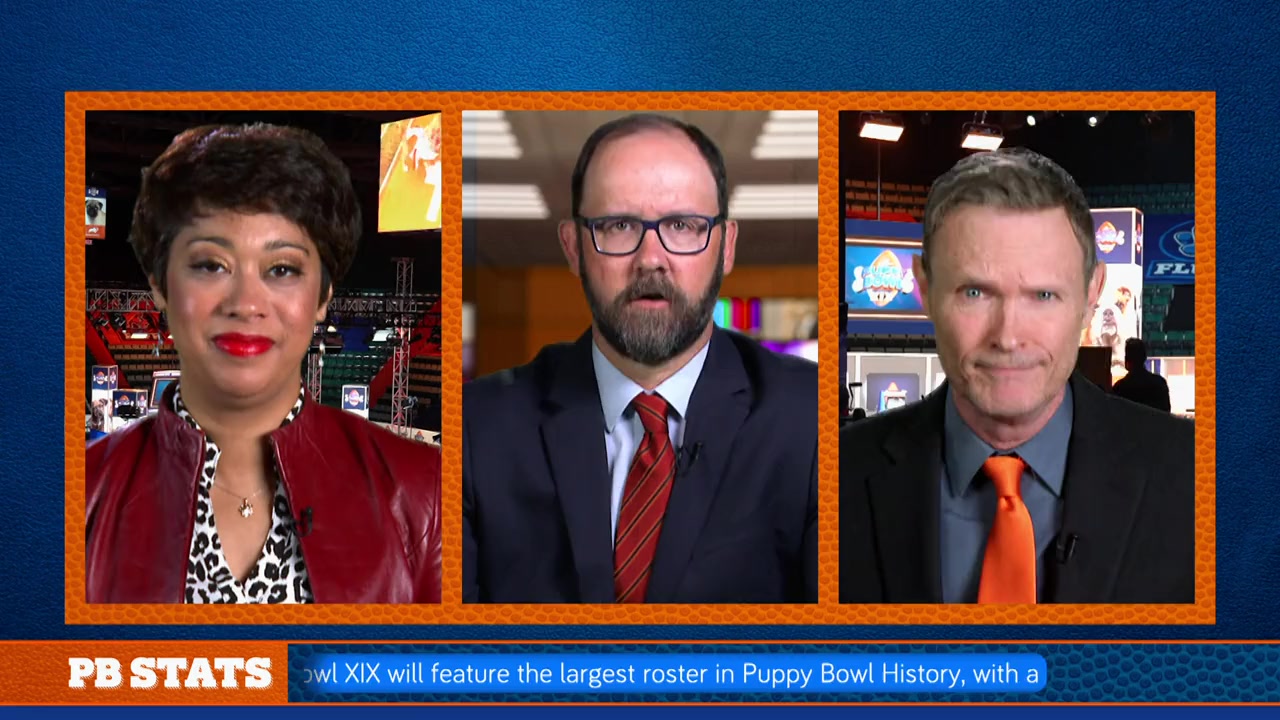 Puppy Bowl XIX Pregame Show screenshot 3