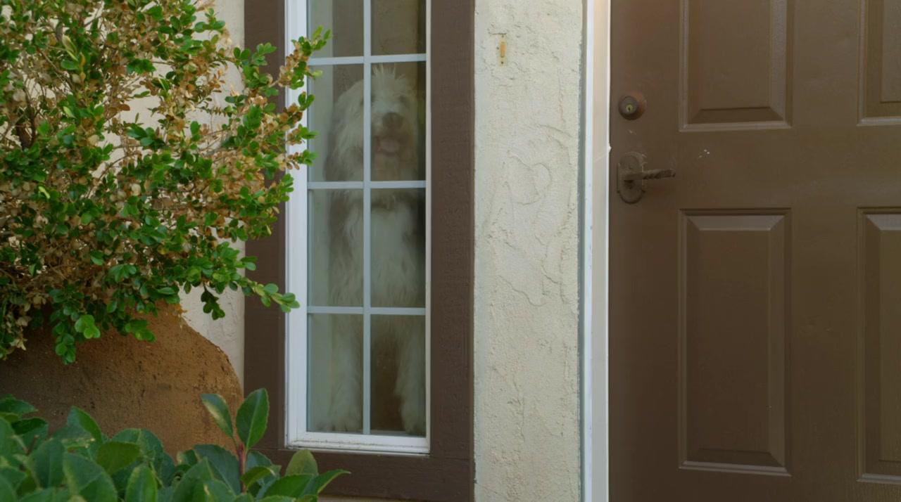 Puppy Love screenshot 3