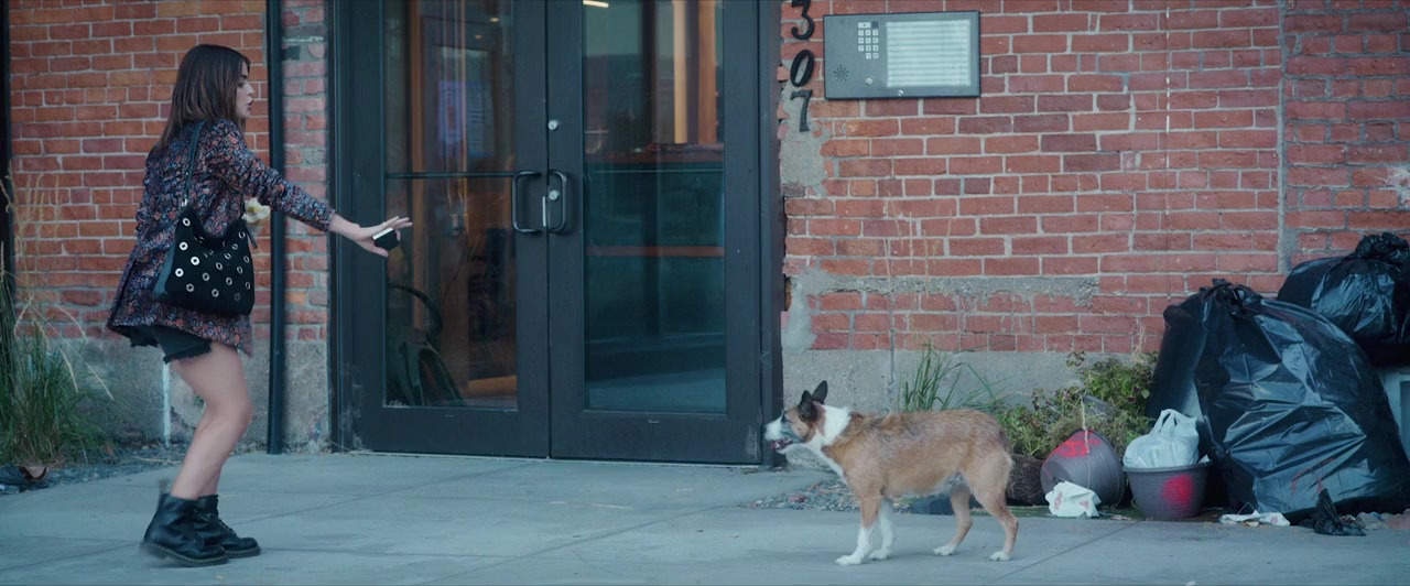 Puppy Love screenshot 1