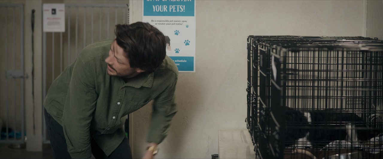 Puppy Love screenshot 3