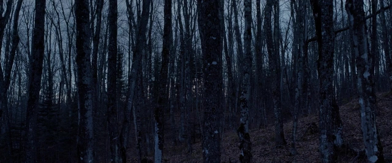 Pyewacket screenshot 1