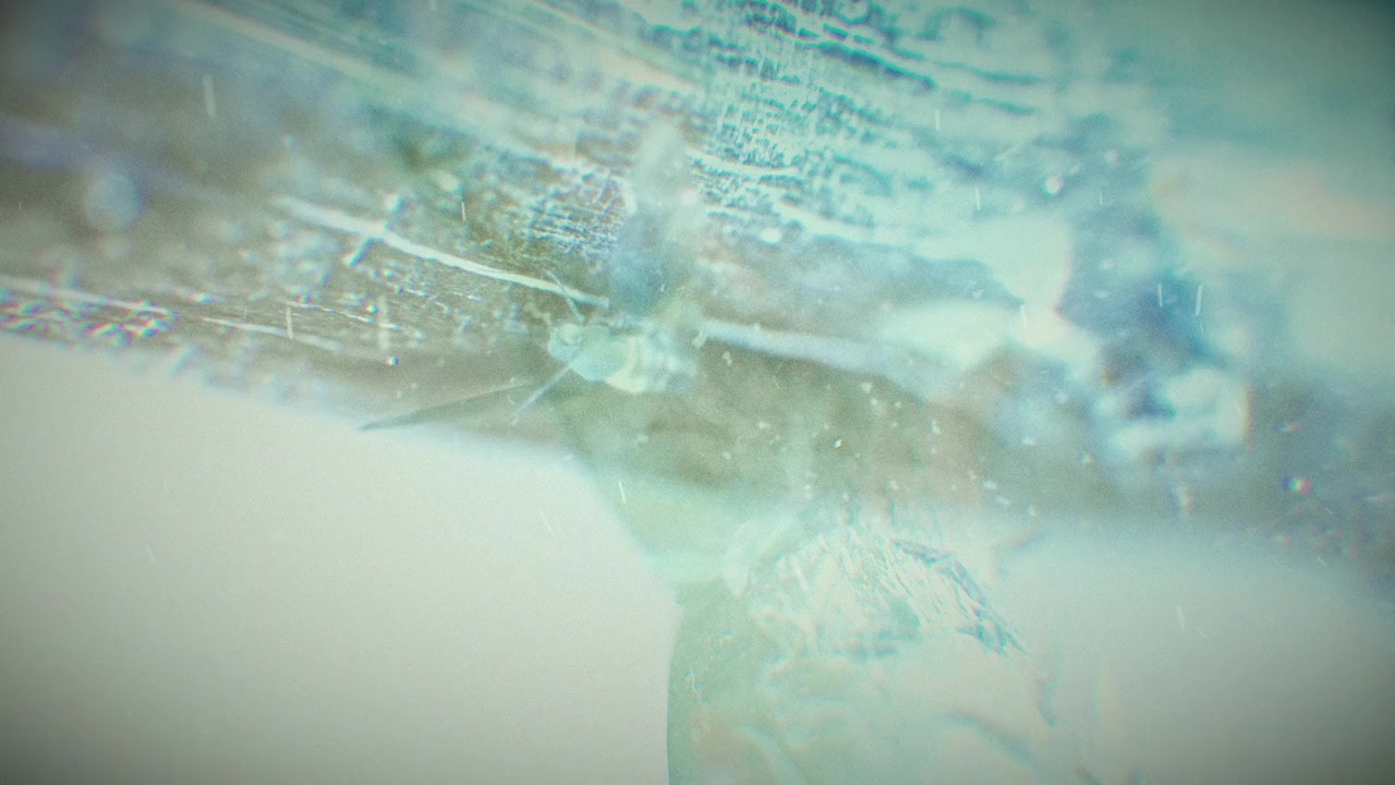 Qala screenshot 1