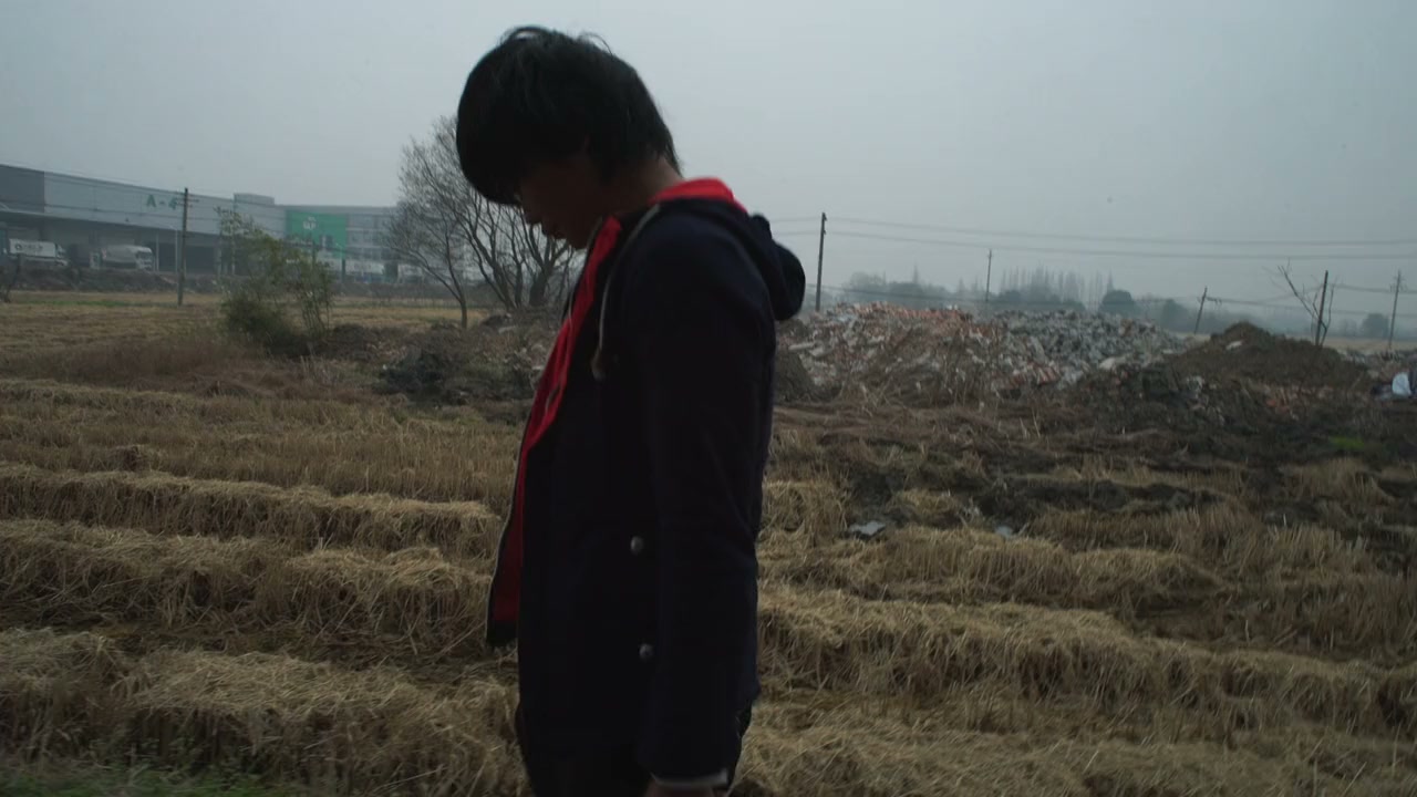Qingchun: Gui screenshot 2