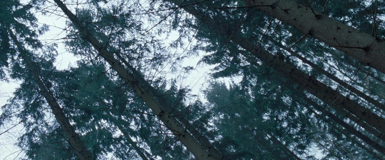 Dronningen screenshot 2