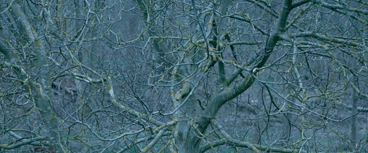 Dronningen screenshot 3
