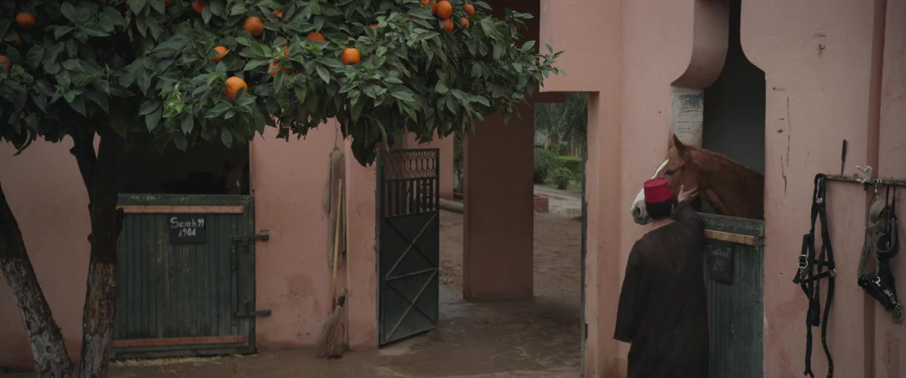 Queen of the Desert screenshot 2
