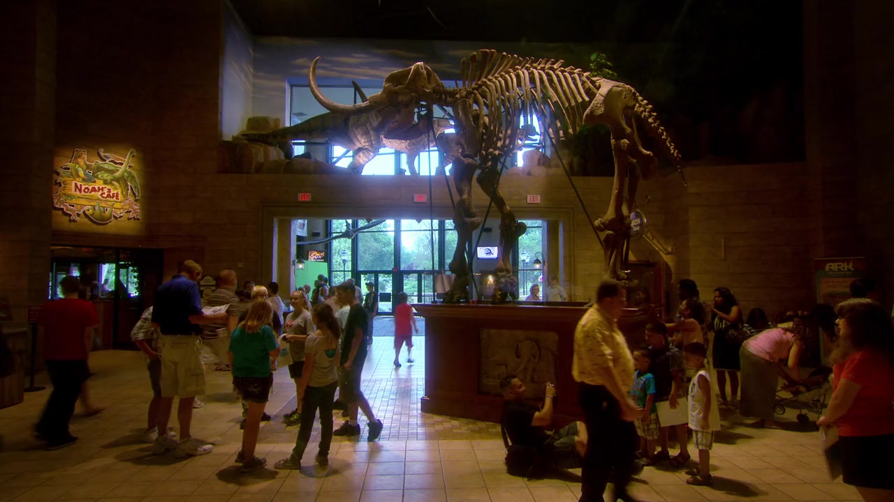 Questioning Darwin screenshot 3